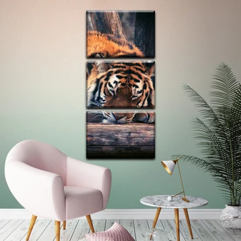 

Modular Picture 3 module Sleep Tiger. For home. Vertical paintings, bedroom, hall, living room, kitchen. Canvas painting