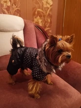 Coat Dogs-Clothing Dot-Pattern Winter Hooded Pet-Dogs New Xl To High-Quality