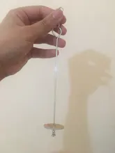 Feeding-Stick-Feeder Birds Food-Holder Pet-Parrots Stainless-Steel Meat-Skewer Support