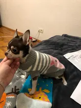 Dog Winter Sweater Pet-Dog Puppy-Cat Knitted Chihuahua for Small Clothing Ropa-Perro