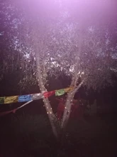 Solar String Lamps For Garden Waterproof Outdoor Lighting 5M 7M 12M 22M 6V Christmas