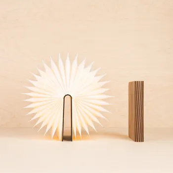 

Night light glowing book lumobook (Maple)