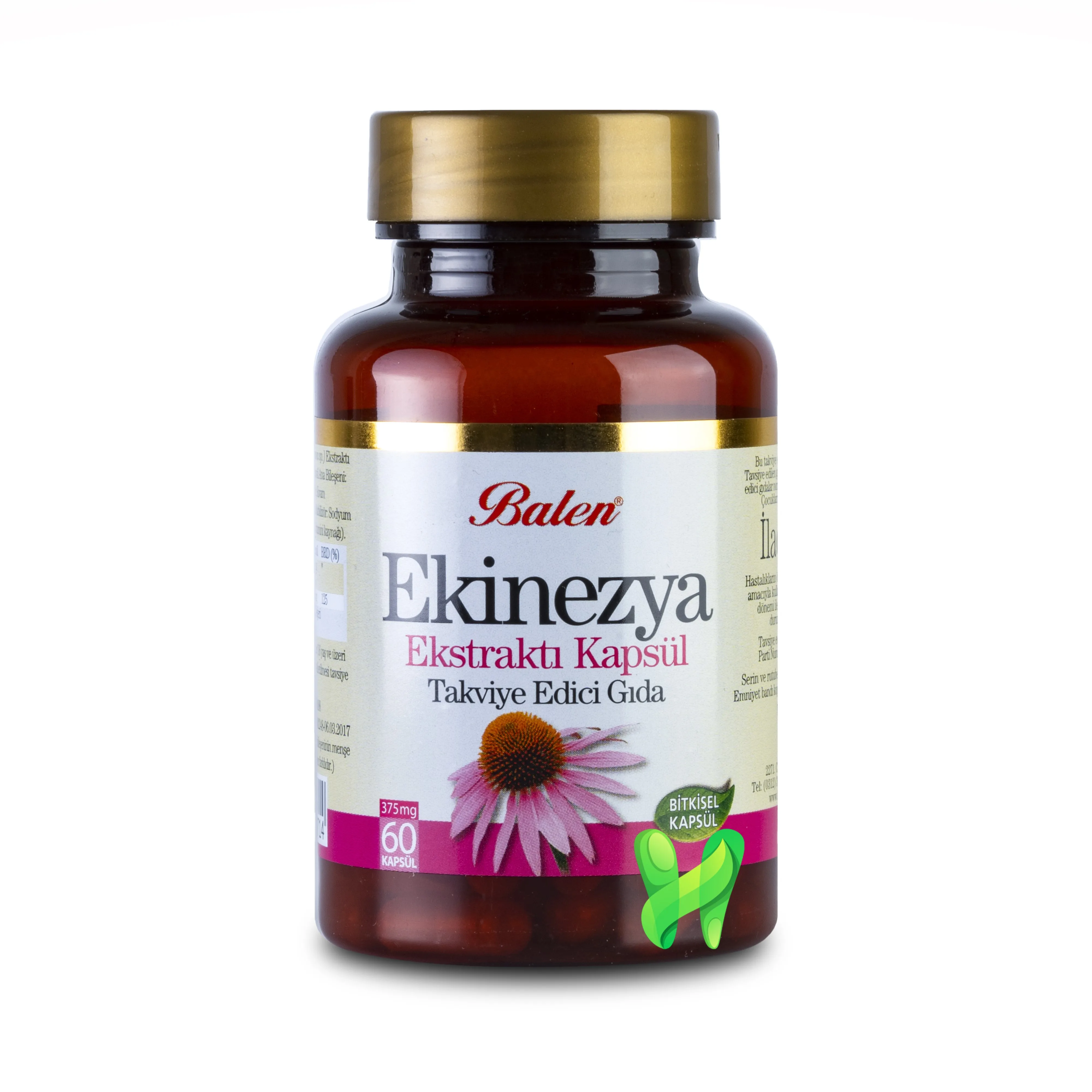 Echinacea Extract for (Stronger Immunity Pain Reliever Anti-inflammatory And Anti-oxidant) 60 Capsules 375 mg |
