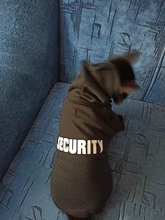 Cat Clothes Pet Cat Coats Jacket Hoodies For Cats Outfit Warm Pet Clothing Rabbit Animals