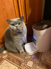 new Pet Feeder Pet Dispenser For Cat And Dog Travel Supply Automatic Smart slow Feeder