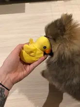 Pet-Toys Dog-Supplies Cat Plush Mini Cartoon Funny Legendog Bite-Resistant