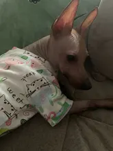 Dogs-Pajamas Clothing Shirt Puppy-Jumpsuit Pomeranian Chihuahua Dog-Coat Pet-Dogs Small