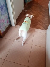 Ropa de perro para perros pequeños estampado bonito verano mascotas camiseta perro ropa chaleco para gatos mascota de algodón de T camisa Pug ropa trajes