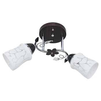 

Ceiling Light 6037 m/2CR + Br WT экономсвет