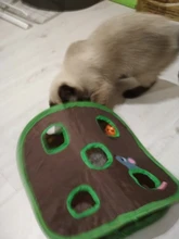 Intelligence Toy Bell-Tent Mouse Mice Game Pets Pet-Cat Active Kitten 9-Hole cats-Playing-Tunnel