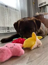 Toy Plush-Toy Pet-Supplies Cloud-Shaped Funny Cartoon Star for Dogs