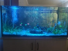 Led-Lamp Dimmer Fish-Tank-Light Aquarium Sunrise Sunset Marine Automatic Full-Spectrum