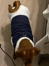 Jacket Pet-Coat French-Bulldog For Chihuahua Puppy-Vest Warm Dog Mascotas Winter Small