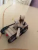 Изображение товара 5