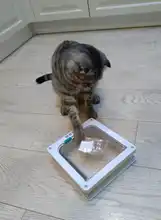 Pet-Gate Door-Kit Flap-Door Security-Lock Dog Cat Abs-Plastic Kitten with 4-Way for Small