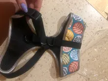 Arnés de nailon para perro o gato con estampado, para bulldog francés, arnés para cachorro, para perros pequeños, chaleco para chihuahua o Yorkshire, entrenamiento para caminar