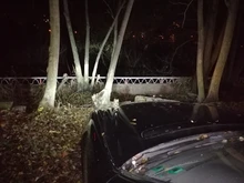 Venta al por mayor 2 uds D1S D2S D3S D4S bombillas HID faro D1 D2 D3 D4 D1R D2R D3R faro luz 4300K 6000K 8000K GLOWTEC