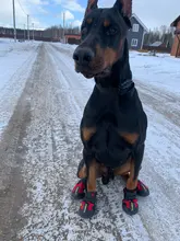 Shoes Reflector Dog-Boots Dogs-Paws Truelove Small Outdoor Large Footwear Pet-Dog Pu