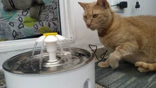 Fuente de agua para gato, tazón de bebida con filtro de carbón activo, dispensador eléctrico automático para mascotas, cuencos para gatos, alimentada por USB