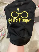 Disfraz de primavera para mascotas, ropa para perros y gatos, camiseta fina de algodón transpirable sin mangas, chaleco negro Simple