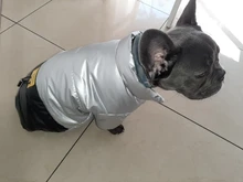 Coat Puppy Clothing Jacket Puppy-French-Bulldog Dogs Waterproof Chihuahua Winter Vest