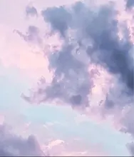 A***L
