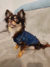 Dog-Vest Jacket Apparel Jeans Puppy Small Dogs Yorkshire Terrier Denim For Chihuahua
