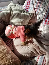 Coat Dress Teddy Poodle-Clothes Puppy Small-Pet Dog Winter Autumn with Letter Bowknot