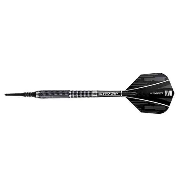 Target darts raymond van barneveld 17гр 95