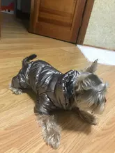 Ropa de abrigo para Perros Bulldog Francés, Ropa de cachorro, Chihuahua, yorkie, abrigo de perrito mascota, chaqueta, perros, mascotas