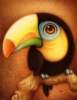 

Painting by Numbers Premium: Toucan