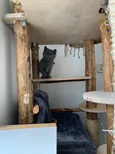 Pet Cat Animal Hammack Luxury Radiator Bed Hanging Winter Warm Fleece Basket Fleece