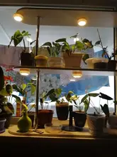 Under-Cabinets-Lights Wardrobe Sensor Led Dimmable Kitchen Touch Close Warm White Double-Color