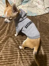 Hoodies Jacket Coat Puppy-Clothing Yorkie Small Dog Classic Chihuahua Pet-Dog for Autumn