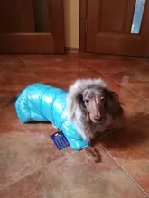 Coat Clothing Dog-Costume Dogs Waterproof Chihuahua Pet-Puppy-Jacket Small Winter Large