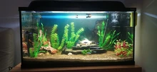 Lighting Aquarium-Light Plant-Lamp Fish-Tank-Light Underwater-Fish-Lamp LED Waterproof