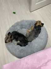 Fluffy Pet Dog Bed Soft Round Dog Long Plush Kennel For Dogs Washable Puppy Cat Bed Cushion