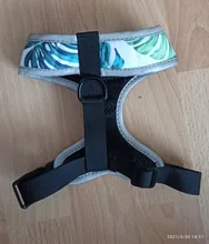 Arnés de Bulldog Francés transpirable para perros pequeños y medianos, chaleco para gatos, entrenamiento para caminar