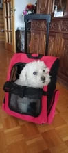 Luggage-Capsule Pet-Dog-Carrier-Bag Carrying Cat-Backpack Puppy Cats Travel Outdoor Double-Shoulder