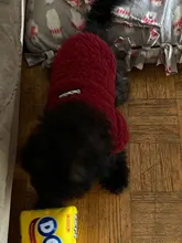 Ropa para perros de lana y Chihuahua, Ropa de invierno para mascotas pequeñas y medianas