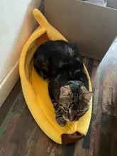 House-Mat Banana-Shape Puppy-Cushion-Basket Kennel Dog-Cat-Supplies Durable Doggy Warm