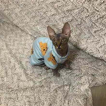 Rabbit Print Pet Cat Costume for Cats Soft Kedi Katten Sweatshirt Hoodie Spring Summer