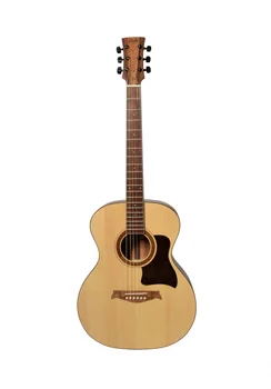 

D024 acoustic guitar, doff