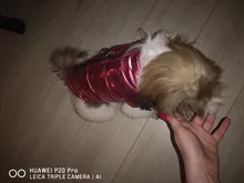 Vest Pet-Jacket Dog-Coat Puppy French-Bulldog Small Dogs Waterproof Winter For Chihuahua