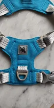 Harness Vest Belt Chest-Strap Dog-Training-Reflective Big-Dogs Adjustable Outdoor 
