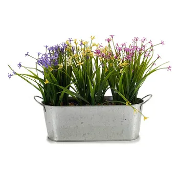 

Planter Ibergarden zinc (11,5 x 10 x 32,5 cm) Oval