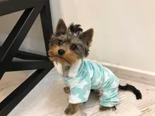 Pijamas de perros para otoño e invierno, Mono para perros pequeños, jerseys Shih Tzu Yorkshire, ropa de lana suave para cachorros y gatos