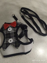 Elegante pajarita arnés tipo chaleco para perro con correa ajustable, Gato conjunto de Correa y arnés lindo arco nudo esmoquin para gatos gatito cachorro