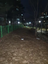 Uds deportes al aire libre reflectante elástico brazalete noche deportes cintas para correr equipos de emergencia advertencia reflectante de seguridad Cyc