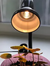 Pet-Heat-Bulb Heating-Lamp Uv-Light Turtle Lizards Mini 25/50/75w-uva Temperature-Controller